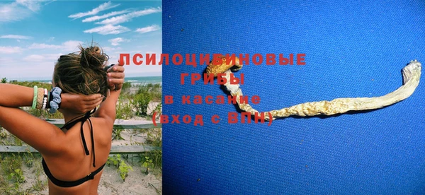 a pvp Абинск