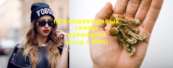a pvp Абинск