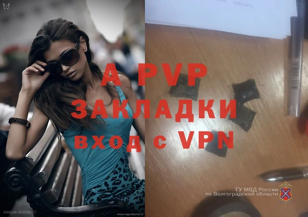 a pvp Абинск