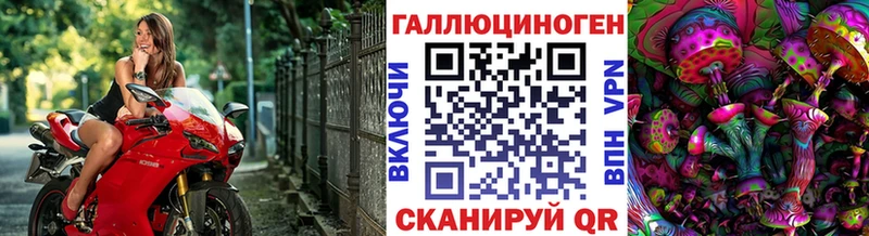 Псилоцибиновые грибы Cubensis Дальнереченск